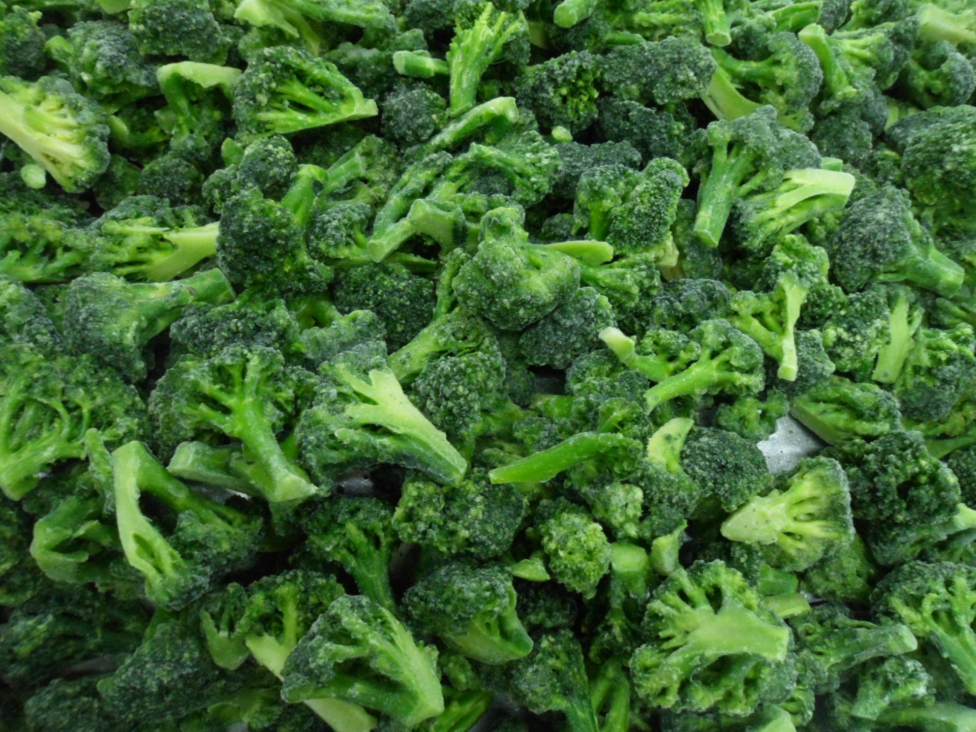 IQF BROCCOLI